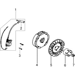 110 - Bertolini Sickle Bar Mower Flywheel and coil Diagram