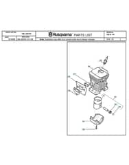 Husqvarna 14120040100001-CURRENT - Cylinder Piston