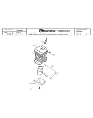 Husqvarna 14220082200001-CURRENT - Cylinder Piston