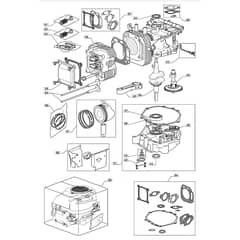 1436H - 2008 - 299964383/UM8 - Mountfield Ride On Mower Engine - ST. TRE0701 Diagram