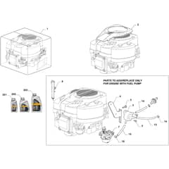 1538H - 2024-2025 - 2T2620483/M25 - Mountfield Ride On Mower Engine, Fuel Pump Diagram