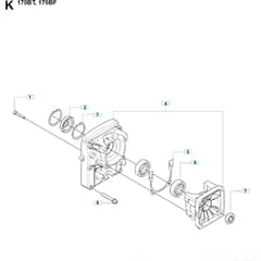 Husqvarna 170 BF - 20084000001-Current Piston & Crankshaft 1
