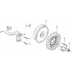 205 S - Bertolini Tiller Flywheel and coil Diagram