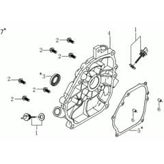 218 - Bertolini Tiller Crankcase cover Diagram