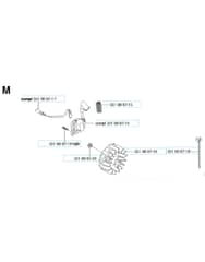 Husqvarna 224L - Ignition System