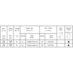 Echo CS-362TES Guide Bar and Chain