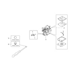 DS 5400 S -  - Efco Brushcutter Carburettor WT-1199 Diagram