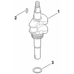 Stihl EVC 200.5 C (EVC200-0011) - Crankshaft - Parts Diagram