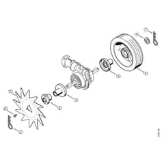 Genuine Stihl FC-MM / A - Edger FC-MM
