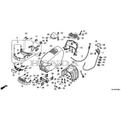 Honda HF2622-HTF -  Hood Diagram