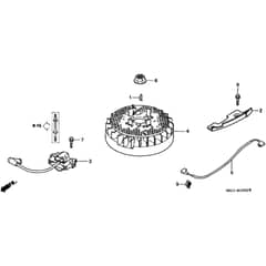 Honda HRB536C1 - TXFA - MZCB 6100001-6199999 Flywheel Diagram