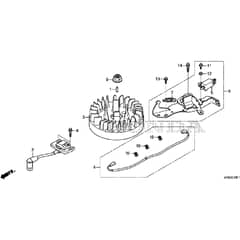 Honda HRG416C1 - SKEH -  Flywheel, Ignition Coil Diagram