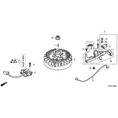 Honda HRG536C8-SKEH -  Flywheel Diagram