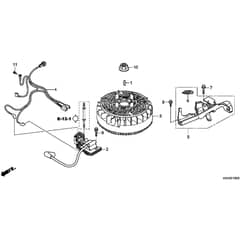 Honda HRG536C8-VLEA -  Flywheel Diagram