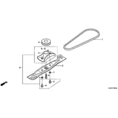 Honda HRG536C9-SKEH -  Driven Pulley Diagram
