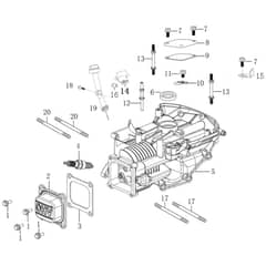 Cobra LC1P65FE-2 B - WT60SP Engine Jan 2022 Crankcase Diagram