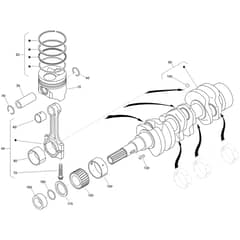 Toro ProLine 113cm - 31040 (324000167 - 324000174) Piston and Crankshaft