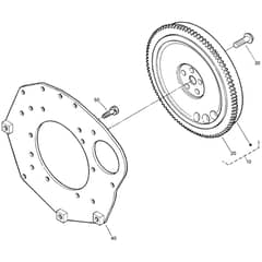 Toro ProLine 113cm - 31040 (326000000 - 326999999) Flywheel