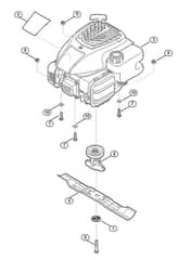 Genuine Stihl RM248.0 / D - Engine, blade