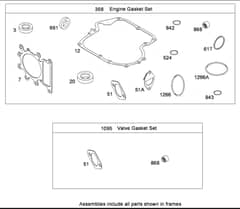 Hayter RT380H - 135E (135E290000001 - 135E290999999) - Gasket Set B&S 31E777-0130-E1