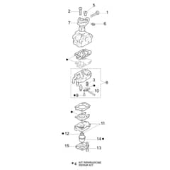 SPARTA 25 TR - Oleo-Mac Brushcutter Carburetor WYL-205B Diagram