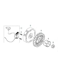 Husqvarna W50P - Flywheel