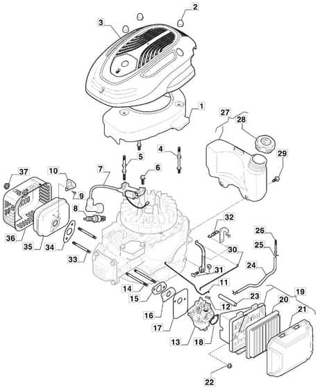 M4820 PD BW EL 4S - 2022 - 299487743/MTF - Mountfield Rotary Mower Carburettor Diagram
