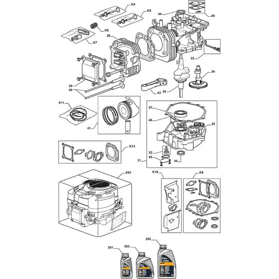 1640M - 2010 - 2T0730483/M10 - Mountfield Ride On Mower Engine TRE0801 Diagram