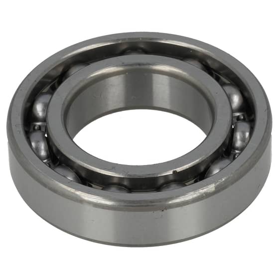 Universal 6006 Bearing
