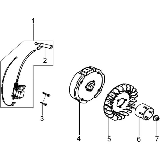 400 (K700 H) - Bertolini Rotary Cultivator Flywheel and coil Diagram