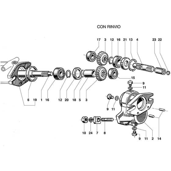418 S - Bertolini Rotary Cultivator Shaft adaptor Diagram