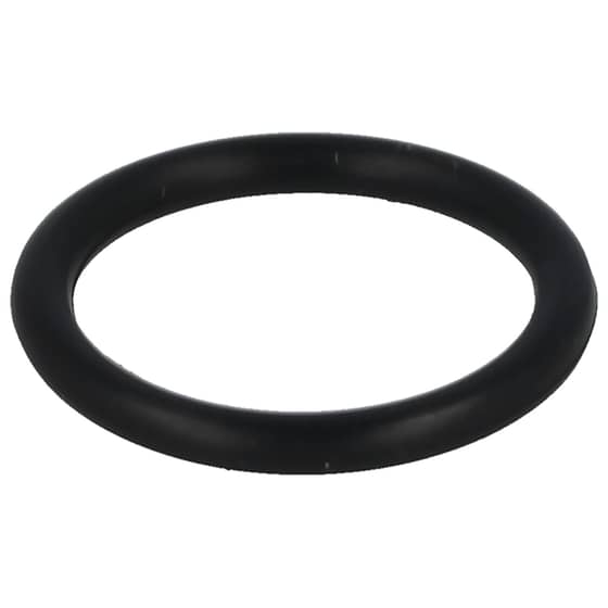Briggs & Stratton Sprint, Classic, Quattro Intake Tube O Ring - 270344S