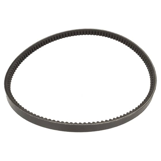 Genuine Belle V Belt - 21/0480