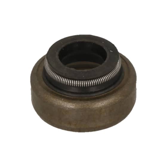 Genuine Briggs & Stratton Valve Seal - 697338