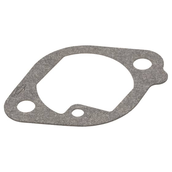 Genuine Briggs & Stratton Intake Gasket - 699800