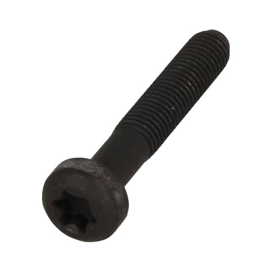 Genuine Briggs & Stratton Screw - 791118