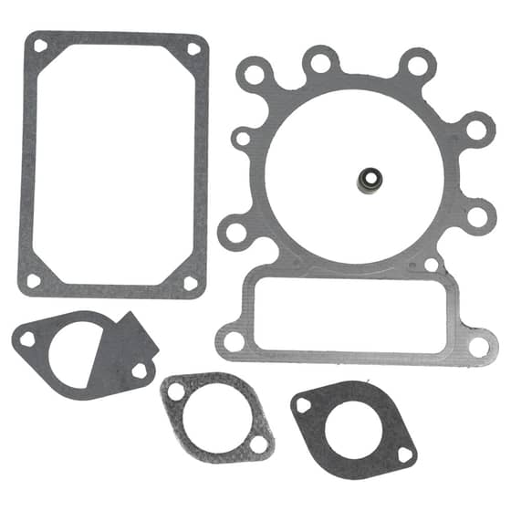 Genuine Briggs & Stratton Valve Gasket Set - 796189