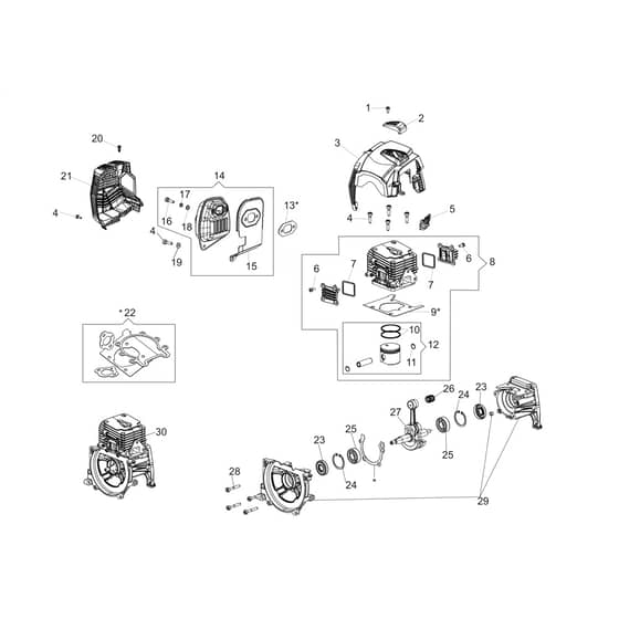 DS 5400 T -  - Efco Brushcutter Engine Diagram