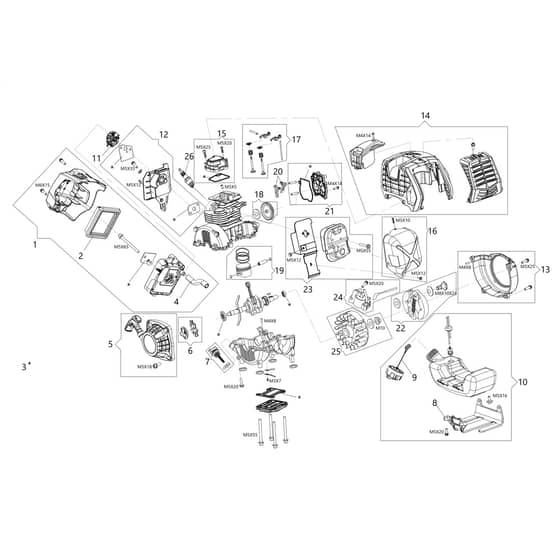 DSH 3100 BP -  - Efco Brushcutter Engine Diagram