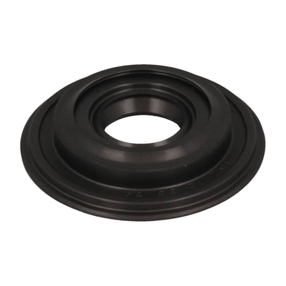 Genuine Echo Oilseal - 100213-38330