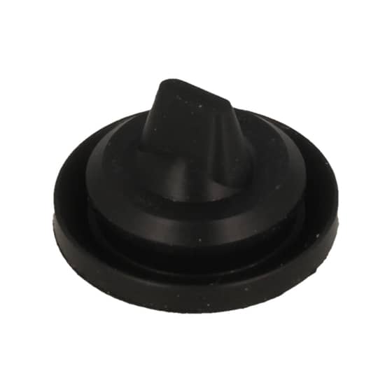 Genuine Echo Valve Check - 131314-06320