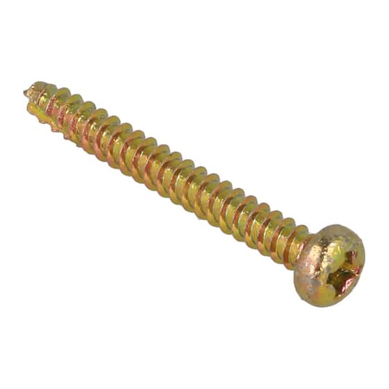 Genuine Echo Self Tapping Screw - 900-246-030-25 - ONLY 1 LEFT