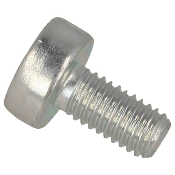Genuine Echo Torx Bolt - V805000130