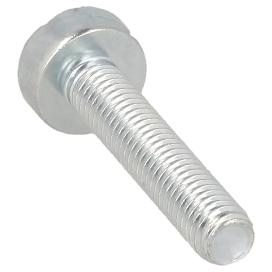 Genuine Echo M5 x 25mm Torx Bolt - V805-000170