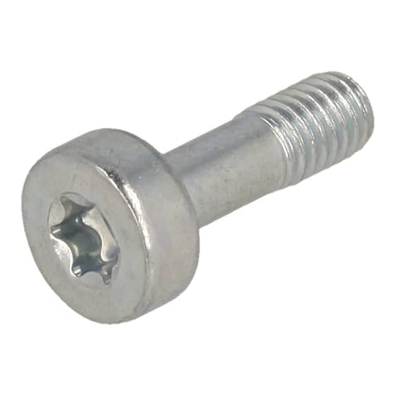 Genuine Echo Torx Bolt - V805-000320