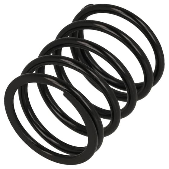 Genuine EGO Compression Spring - 3660699001