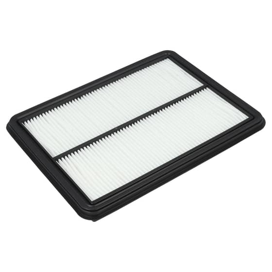 Genuine GGP Air Filter - 118551668/0