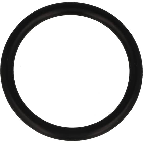 Genuine Honda Water Pump O Ring 49x5.7 - 78118-YB3-004