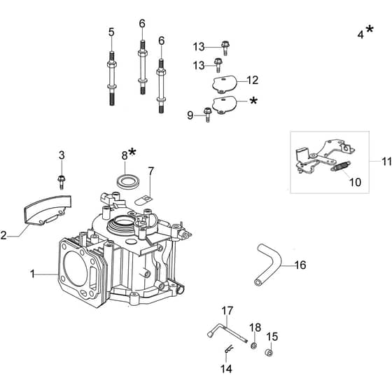 LR 48 PK COMFORT SD (K600 AUTOCHOCKE) -  - Efco Rotary Mower Cylinder and crankase Diagram