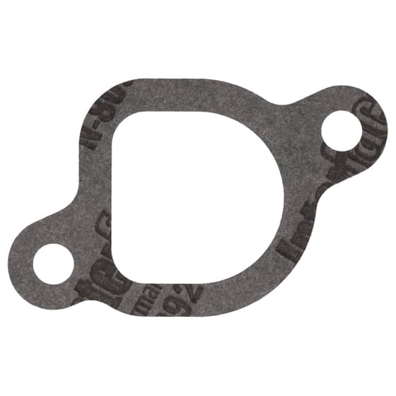 Genuine GGP Cylinder-Intake Pipe Gasket - 118551574/0